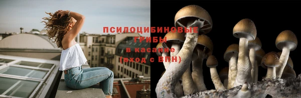 прущая мука Приозерск