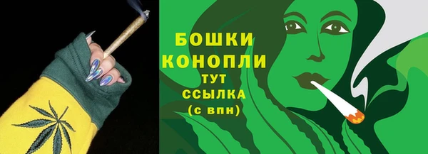 хмурый Протвино