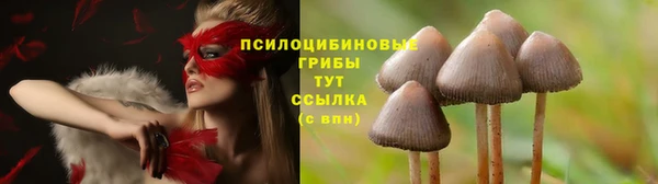мяу мяу кристалл Галич