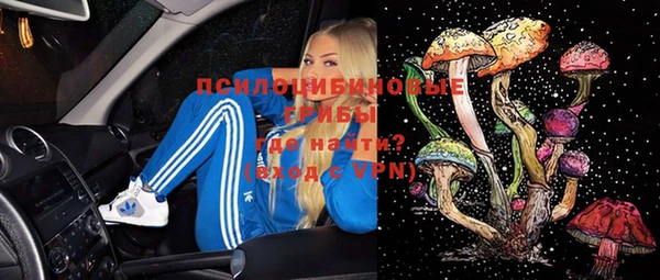 ГАЛЛЮЦИНОГЕННЫЕ ГРИБЫ Пролетарск