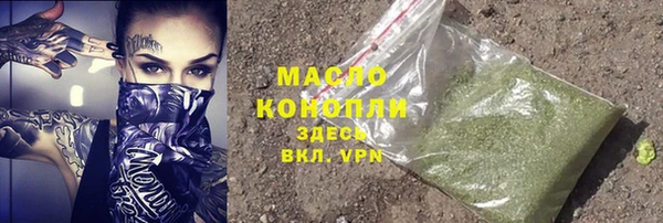 индика Ростов