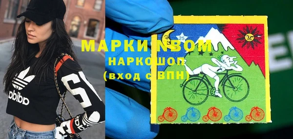 индика Ростов