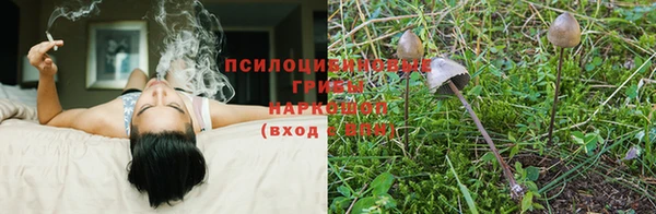 прущая мука Приозерск