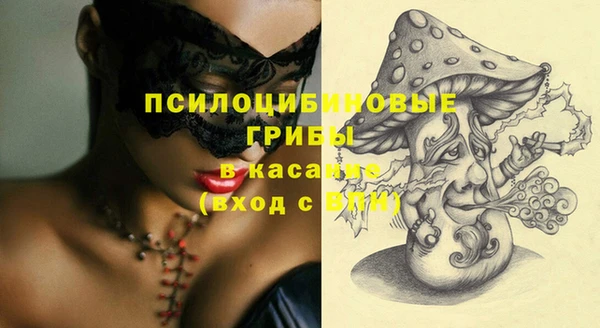 молекула духа Гвардейск