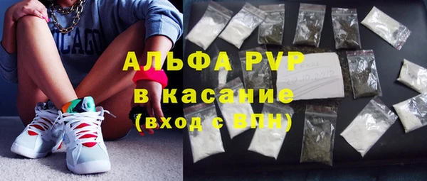 индика Ростов