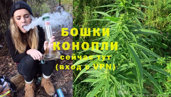 индика Ростов