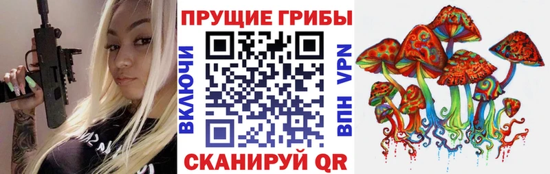 закладки  Анива  Галлюциногенные грибы Magic Shrooms 